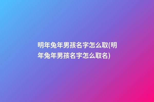 明年兔年男孩名字怎么取(明年兔年男孩名字怎么取名)
