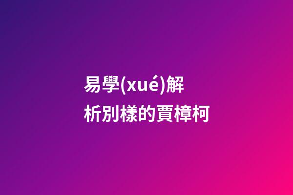 易學(xué)解析別樣的賈樟柯