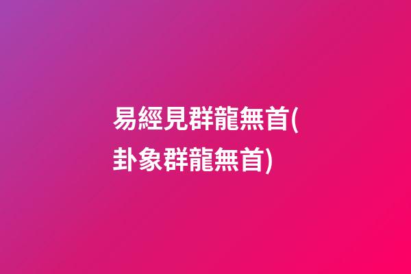 易經見群龍無首(卦象群龍無首)