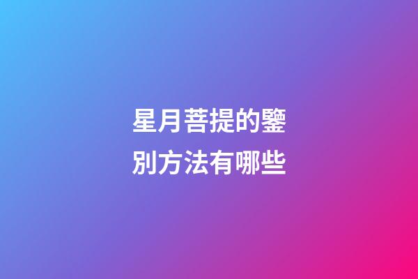 星月菩提的鑒別方法有哪些