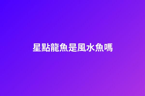 星點龍魚是風水魚嗎