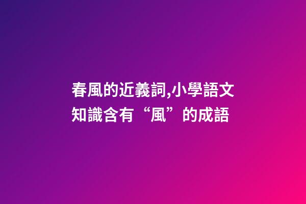 春風的近義詞,小學語文知識含有“風”的成語-第1張-觀點-玄機派