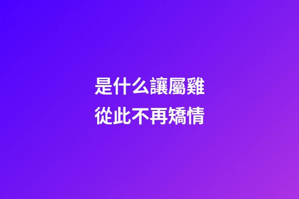 是什么讓屬雞從此不再矯情