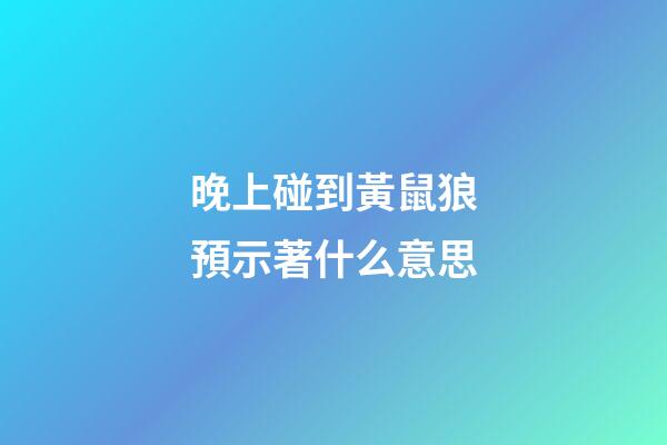 晚上碰到黃鼠狼預示著什么意思