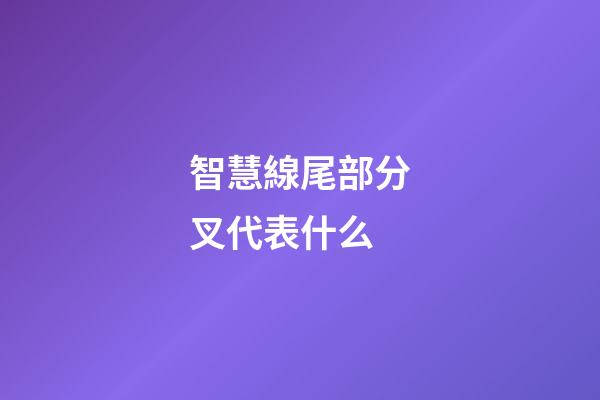 智慧線尾部分叉代表什么
