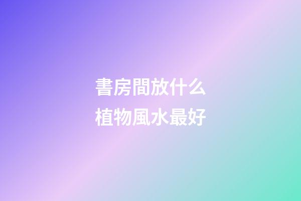 書房間放什么植物風水最好