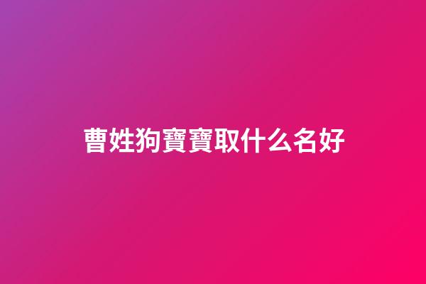 曹姓狗寶寶取什么名好(姓曹的小孩起什么名字好)-第1張-寶寶起名-玄機派