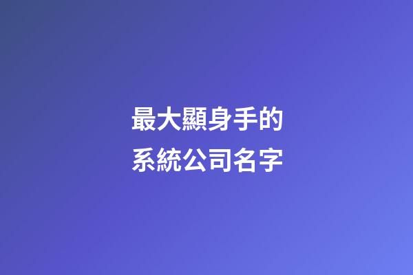 最大顯身手的系統公司名字-第1張-公司起名-玄機派