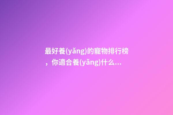 最好養(yǎng)的寵物排行榜，你適合養(yǎng)什么樣的貓-第1張-觀點(diǎn)-玄機(jī)派