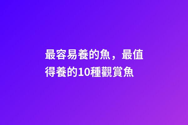 最容易養的魚，最值得養的10種觀賞魚-第1張-觀點-玄機派