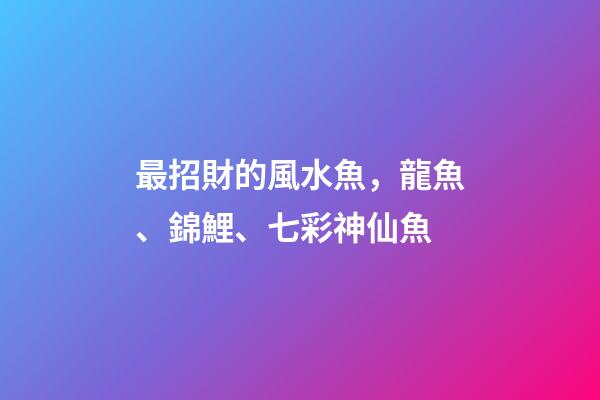 最招財的風水魚，龍魚、錦鯉、七彩神仙魚