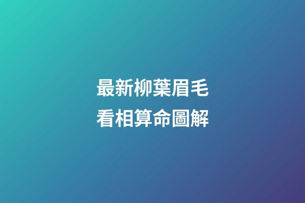 最新柳葉眉毛看相算命圖解