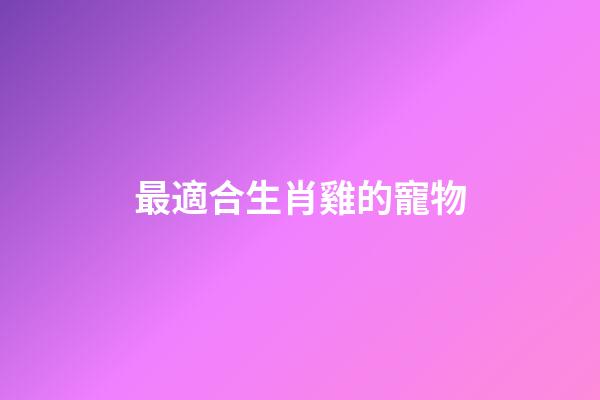 最適合生肖雞的寵物