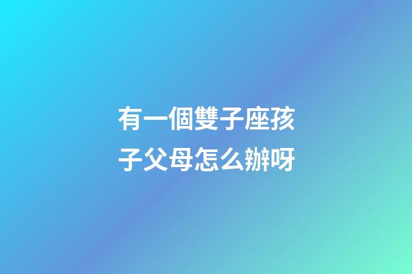 有一個雙子座孩子父母怎么辦呀-第1張-星座運勢-玄機派