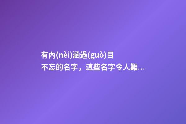 有內(nèi)涵過(guò)目不忘的名字，這些名字令人難忘（有內(nèi)涵過(guò)目不忘的名字,這些名字令人難忘的成語(yǔ)）
