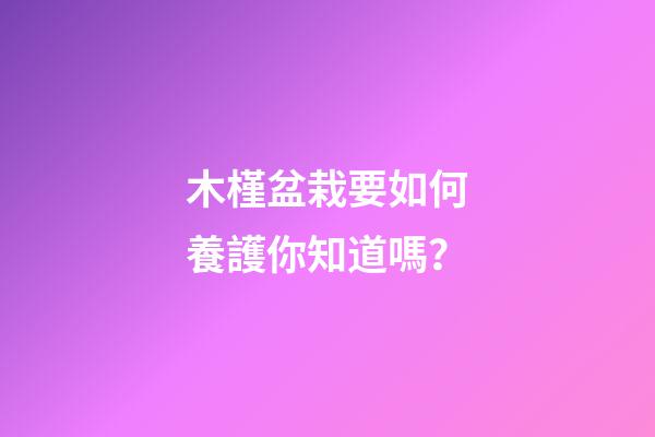 木槿盆栽要如何養護你知道嗎？