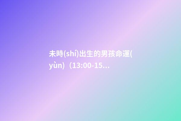 未時(shí)出生的男孩命運(yùn)（13:00-15:00）