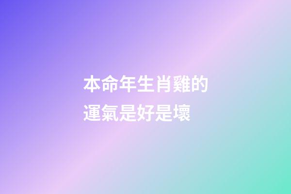 本命年生肖雞的運氣是好是壞