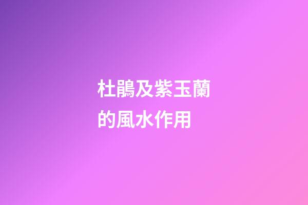 杜鵑及紫玉蘭的風水作用