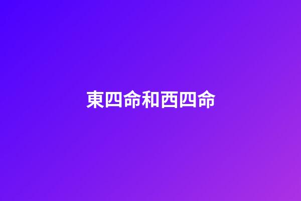 東四命和西四命