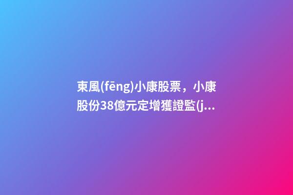 東風(fēng)小康股票，小康股份38億元定增獲證監(jiān)會通過-第1張-觀點-玄機(jī)派