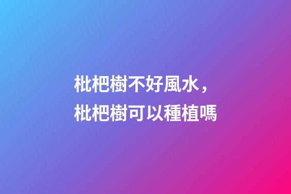 枇杷樹不好風水，枇杷樹可以種植嗎