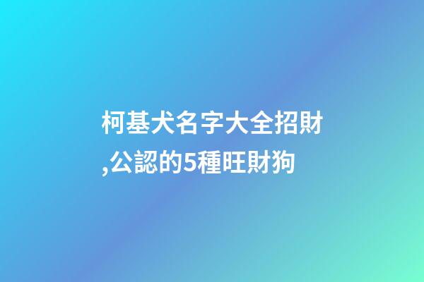 柯基犬名字大全招財,公認的5種旺財狗-第1張-觀點-玄機派