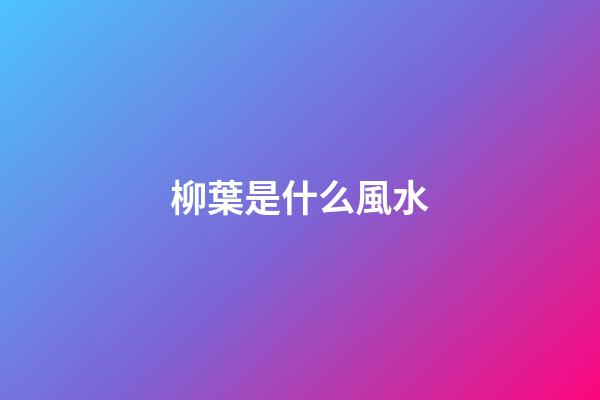 柳葉是什么風水