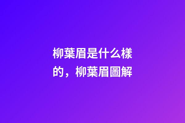 柳葉眉是什么樣的，柳葉眉圖解