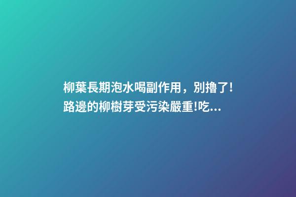 柳葉長期泡水喝副作用，別擼了!路邊的柳樹芽受污染嚴重!吃錯了反受其害-第1張-觀點-玄機派