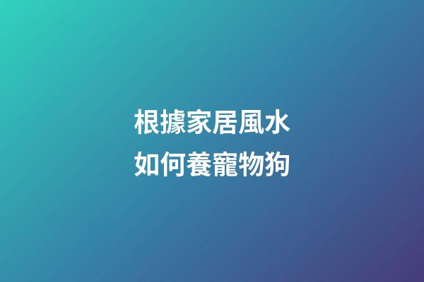根據家居風水如何養寵物狗