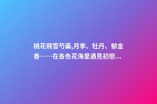 桃花飛雪芍藥,月季、牡丹、郁金香……在各色花海里遇見初戀般的浪漫-第1張-觀點-玄機派