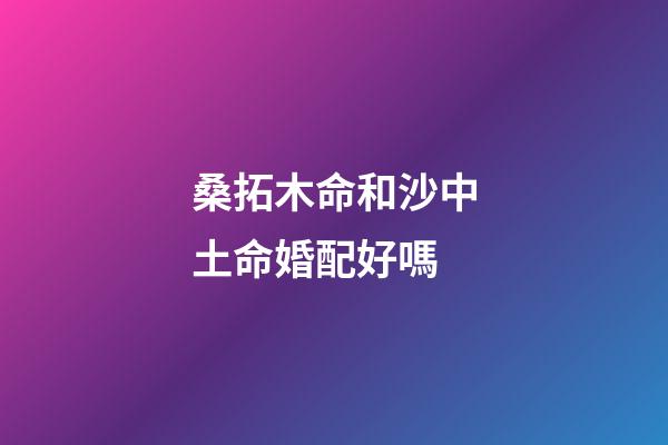 桑拓木命和沙中土命婚配好嗎