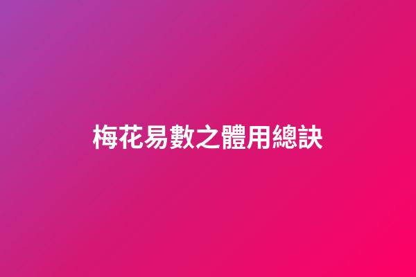 梅花易數之體用總訣