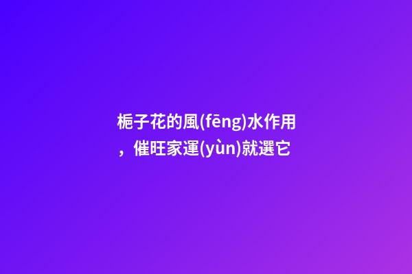 梔子花的風(fēng)水作用，催旺家運(yùn)就選它