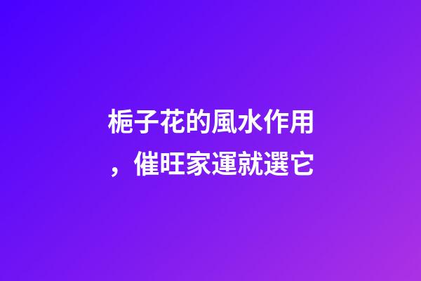 梔子花的風水作用，催旺家運就選它