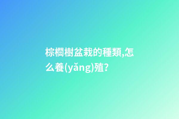 棕櫚樹盆栽的種類,怎么養(yǎng)殖？