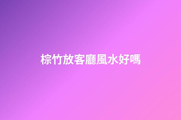 棕竹放客廳風水好嗎