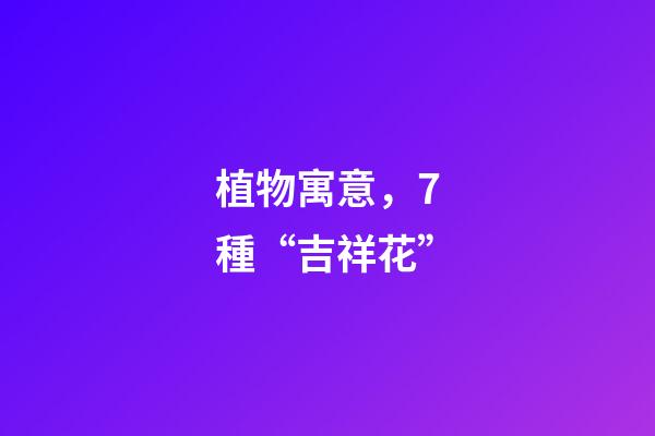 植物寓意，7種“吉祥花”-第1張-觀點(diǎn)-玄機(jī)派