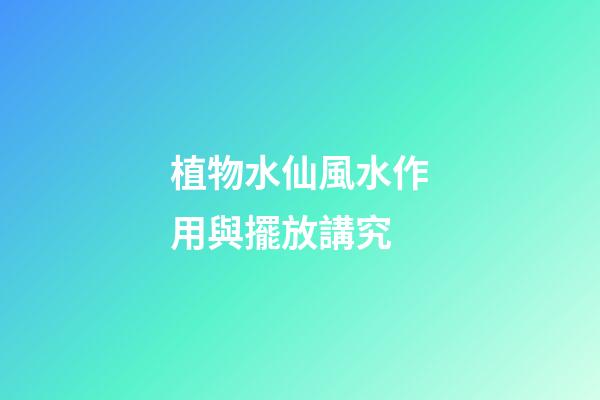 植物水仙風水作用與擺放講究