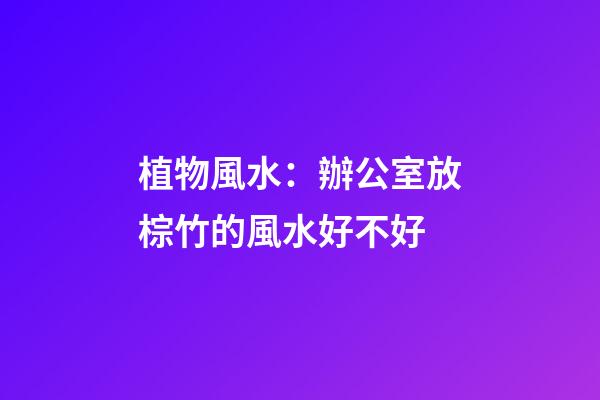 植物風水：辦公室放棕竹的風水好不好