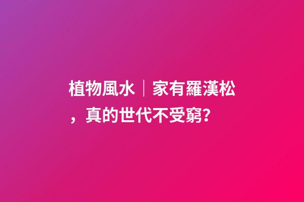 植物風水｜家有羅漢松，真的世代不受窮？