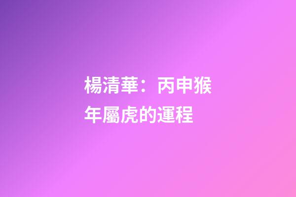楊清華：丙申猴年屬虎的運程