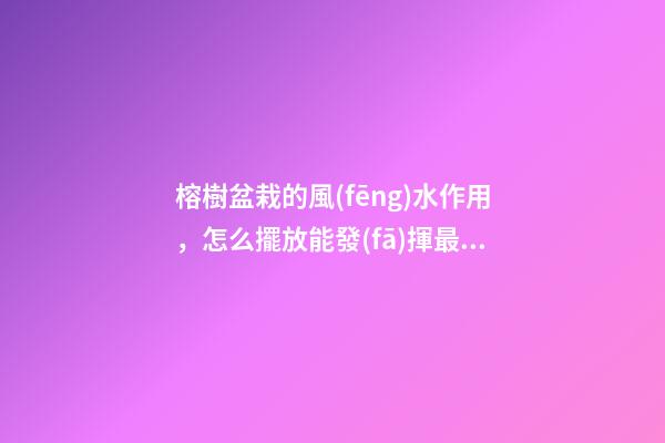 榕樹盆栽的風(fēng)水作用，怎么擺放能發(fā)揮最大效果？