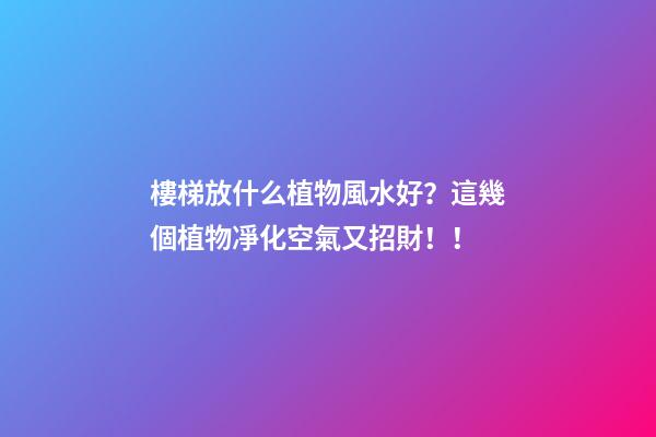 樓梯放什么植物風水好？這幾個植物凈化空氣又招財！！