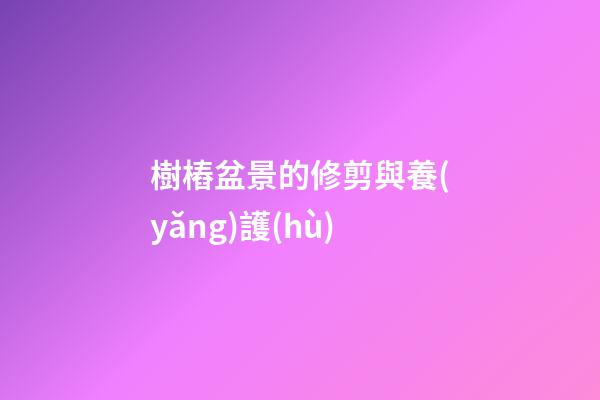 樹樁盆景的修剪與養(yǎng)護(hù)