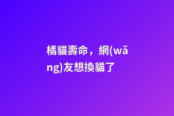 橘貓壽命，網(wǎng)友想換貓了-第1張-觀點-玄機(jī)派