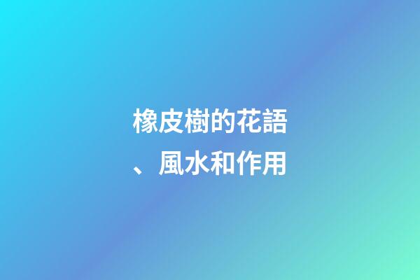 橡皮樹的花語、風水和作用