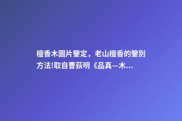 檀香木圖片鑒定，老山檀香的鑒別方法!取自曹荻明《品真—木中之香》-第1張-觀點-玄機派