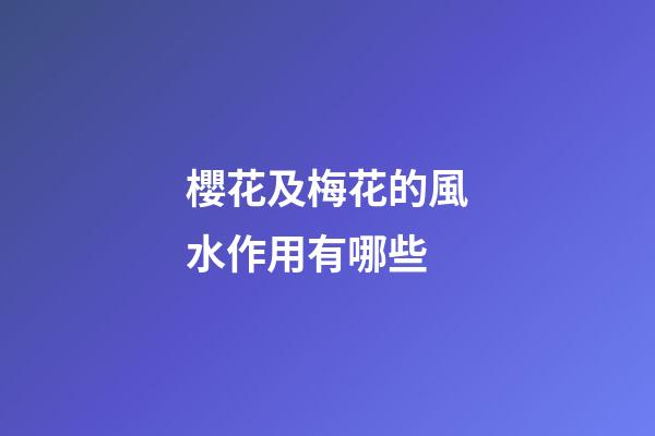 櫻花及梅花的風水作用有哪些?